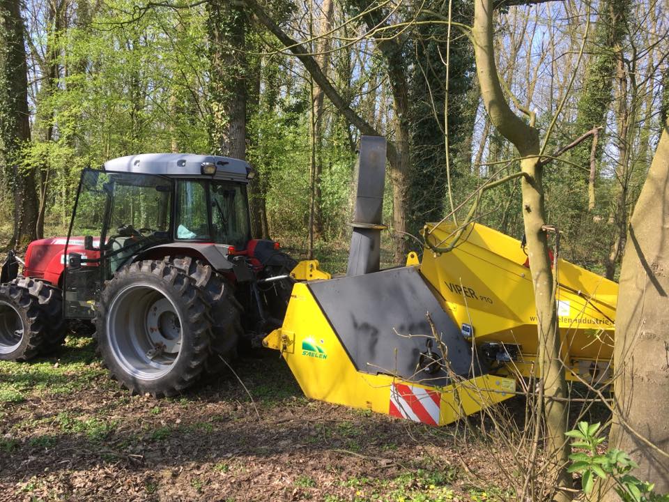 Entretien de jardins près de Lille